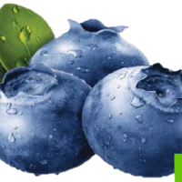 Glass ekologisk blåbär sorbe