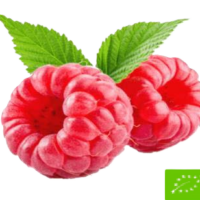 Glass ekologisk hallon sorbe