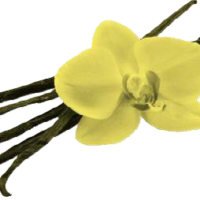 Glass ekologisk vanilj