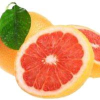 Glass grapefrukt sorbe